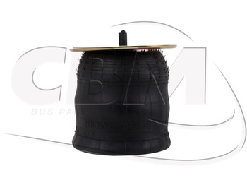 Zawieszenie pneumatyczne