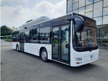 Miejski autobus MAN Lion's City A21