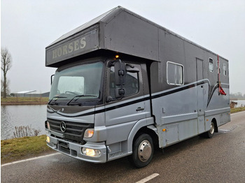 Koniowóz MERCEDES-BENZ Atego 815