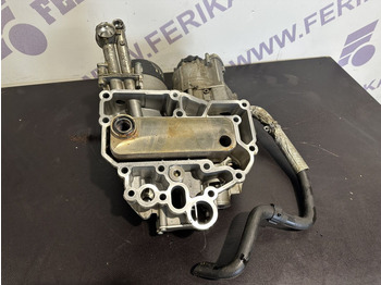 : zdjęcie nagłówek