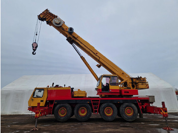 Żuraw szosowo-terenowy GROVE