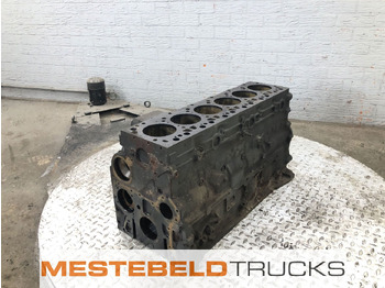 Silnik i części DAF