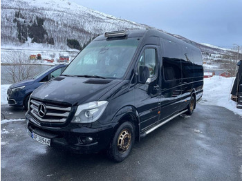 Minibus MERCEDES-BENZ Sprinter 519