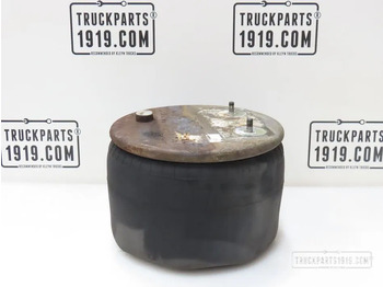 Zawieszenie pneumatyczne DAF