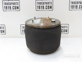 Zawieszenie pneumatyczne DAF