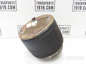 Zawieszenie pneumatyczne DAF