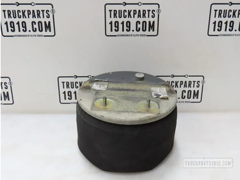 Zawieszenie pneumatyczne DAF