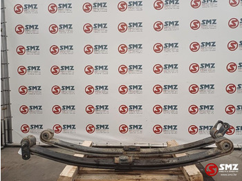 Zawieszenie resorowe DAF