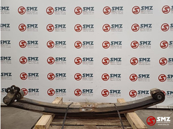 Zawieszenie resorowe DAF