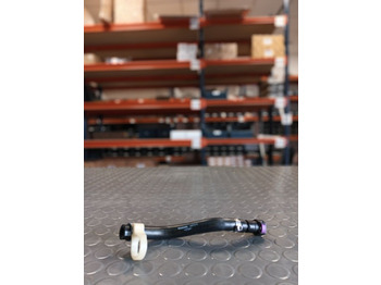 : zdjęcie nagłówek