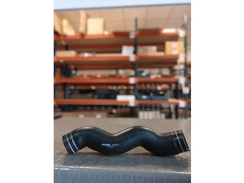 : zdjęcie nagłówek