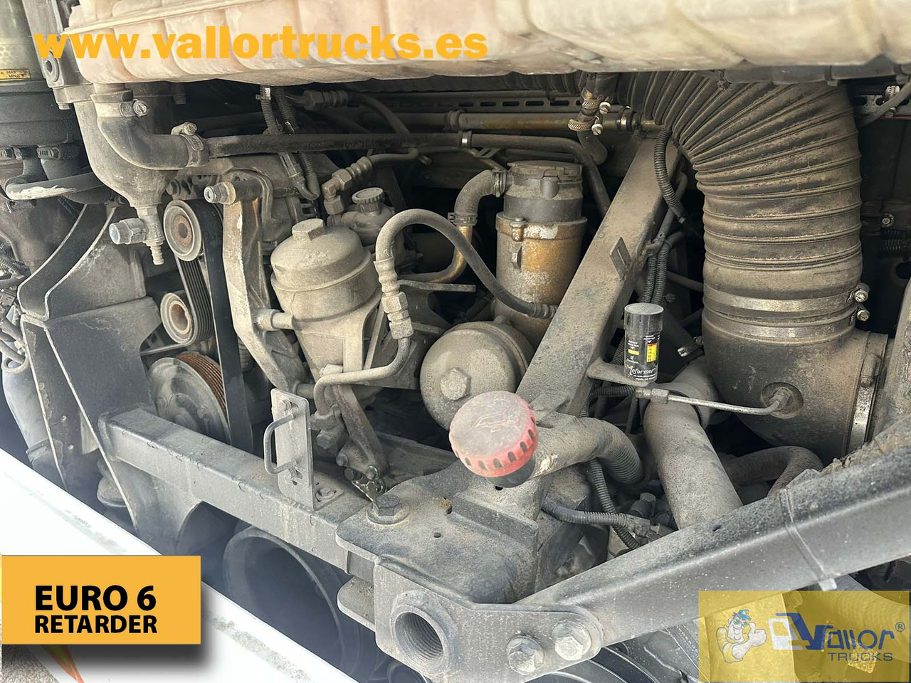 MAN LION´S REGIO L - Autobus szkolny: zdjęcie 5 MAN LION´S REGIO L - Autobus szkolny: zdjęcie 5