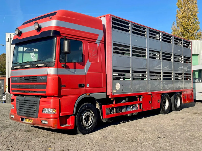 DAF XF 95.430 BERDEX 3 decks. Water, fans, Scales! Excellent condition. - Ciężarówka do przewozu zwierząt: zdjęcie 2 DAF XF 95.430 BERDEX 3 decks. Water, fans, Scales! Excellent condition. - Ciężarówka do przewozu zwierząt: zdjęcie 2