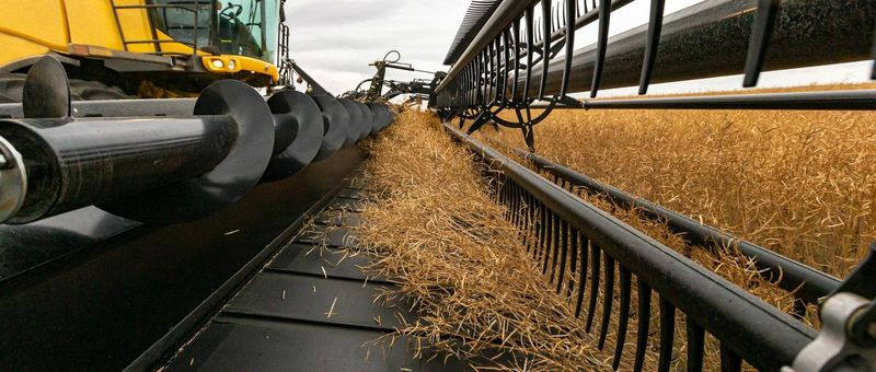 Nowy Żniwiarka Honey Bee AirFLEX NXT AFN245: zdjęcie 11