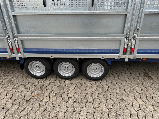 Brian James Cargo Connect Universalanhänger 476-6022-35-3-12, 6000 x 2250 x 300 mm, 3,5 to., 12 Zoll - Przyczepa samochodowa: zdjęcie 4 Brian James Cargo Connect Universalanhänger 476-6022-35-3-12, 6000 x 2250 x 300 mm, 3,5 to., 12 Zoll - Przyczepa samochodowa: zdjęcie 4