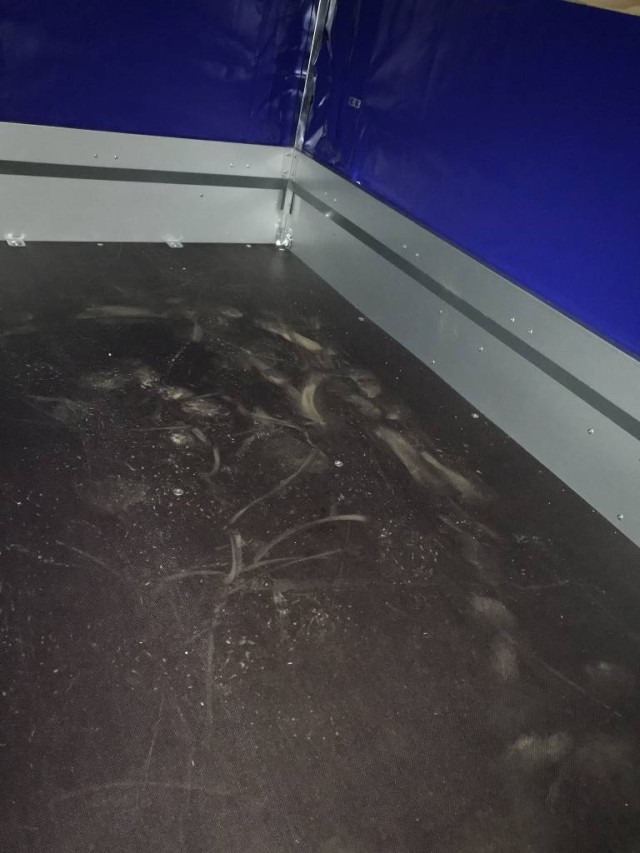 Humbaur Steely mit Hochplane 140 cm, 750 kg 2050x1095x300mm - Przyczepa samochodowa: zdjęcie 4 Humbaur Steely mit Hochplane 140 cm, 750 kg 2050x1095x300mm - Przyczepa samochodowa: zdjęcie 4