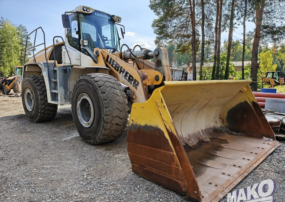 Liebherr L566 Liebherr L566: zdjęcie 6