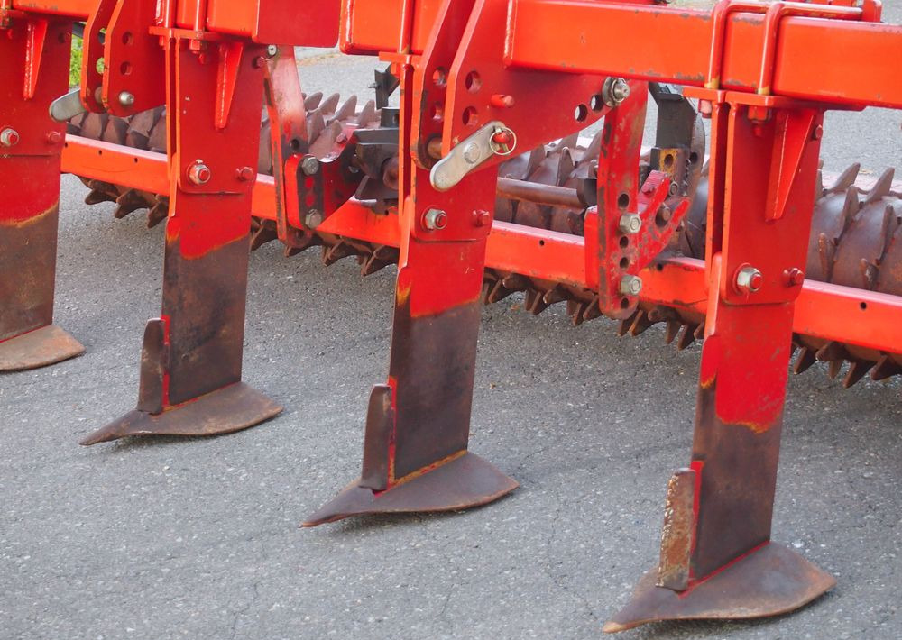 Głębosz Demblon 2008 - Głębosz: zdjęcie 3 Głębosz Demblon 2008 - Głębosz: zdjęcie 3