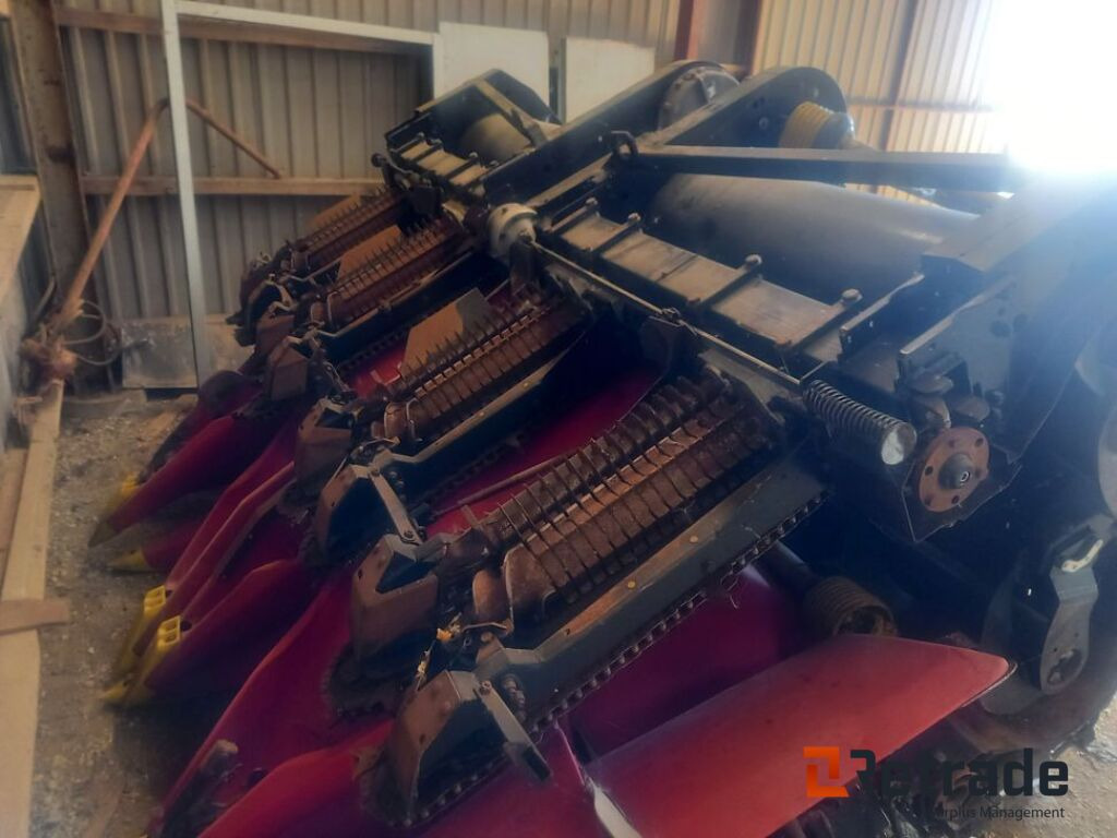 Maszyna rolnicza Geringhoff Majsskærebord 8Rk. / Corn Heads: zdjęcie 10 Maszyna rolnicza Geringhoff Majsskærebord 8Rk. / Corn Heads: zdjęcie 10