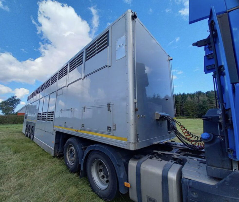 Gray and Adams Gadd3 / Works Great / Hydraulic / 2 Levels - Naczepa do przewozu zwierząt: zdjęcie 4 Gray and Adams Gadd3 / Works Great / Hydraulic / 2 Levels - Naczepa do przewozu zwierząt: zdjęcie 4