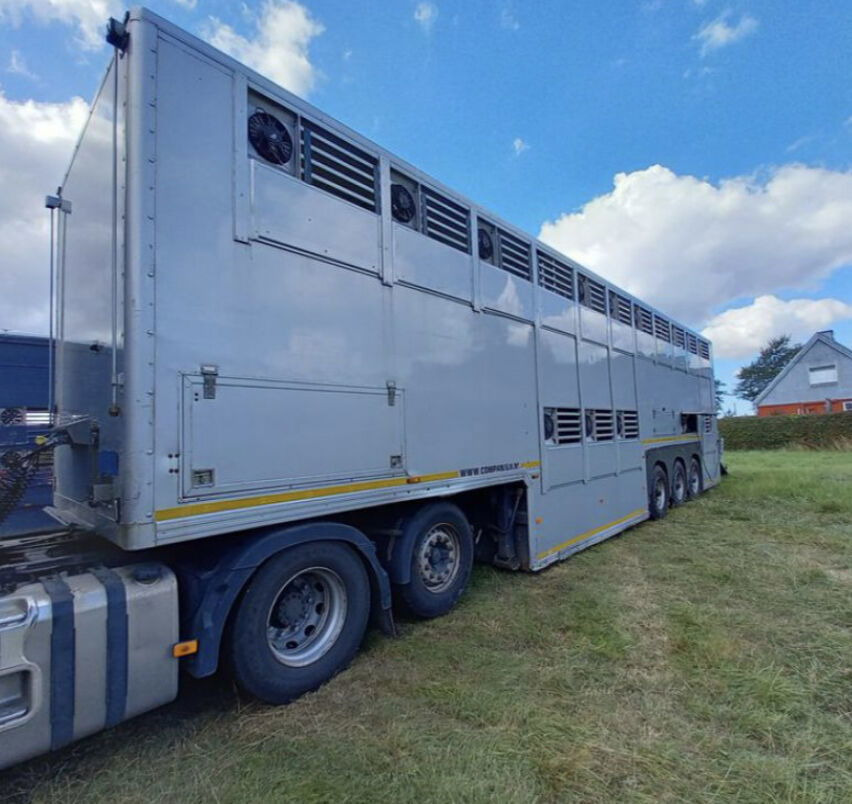 Gray and Adams Gadd3 / Works Great / Hydraulic / 2 Levels - Naczepa do przewozu zwierząt: zdjęcie 5 Gray and Adams Gadd3 / Works Great / Hydraulic / 2 Levels - Naczepa do przewozu zwierząt: zdjęcie 5