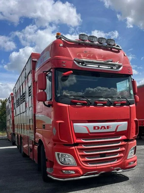 DAF XF 530 + Przyczepa Pezzaoli - 3X Trzoda, 2 X Bydło I 3 poziomy I Podnoszony dach I Hydroburta I Osie Skrętne I Poidła I Wentylatory I Pilot Manualny | - Ciężarówka do przewozu zwierząt: zdjęcie 5 DAF XF 530 + Przyczepa Pezzaoli - 3X Trzoda, 2 X Bydło I 3 poziomy I Podnoszony dach I Hydroburta I Osie Skrętne I Poidła I Wentylatory I Pilot Manualny | - Ciężarówka do przewozu zwierząt: zdjęcie 5
