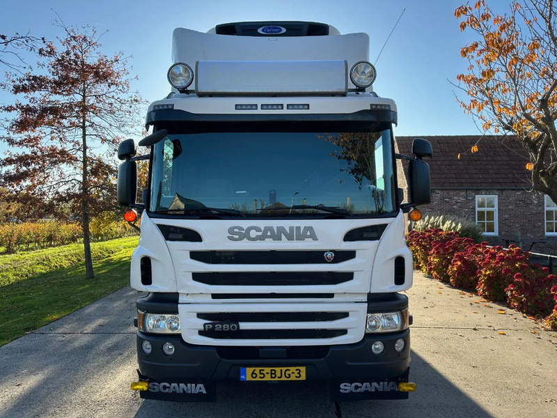 Scania P280 / NL TRUCK / EURO 6 / FULL AIR / CARRIER SUPRA 1250 / TOPCONDITION / LIFT+DOORS - Samochód ciężarowy chłodnia: zdjęcie 2 Scania P280 / NL TRUCK / EURO 6 / FULL AIR / CARRIER SUPRA 1250 / TOPCONDITION / LIFT+DOORS - Samochód ciężarowy chłodnia: zdjęcie 2