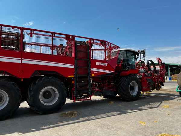 Grimme REXOR 6300 Platinum - Kombajn do buraków: zdjęcie 1 Grimme REXOR 6300 Platinum - Kombajn do buraków: zdjęcie 1