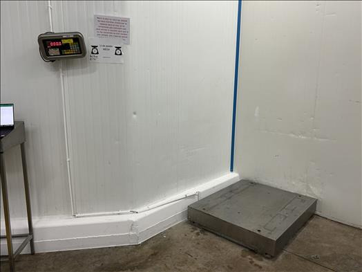 Precia Molen Pallet scale - Maszyna spożywcza: zdjęcie 1 Precia Molen Pallet scale - Maszyna spożywcza: zdjęcie 1