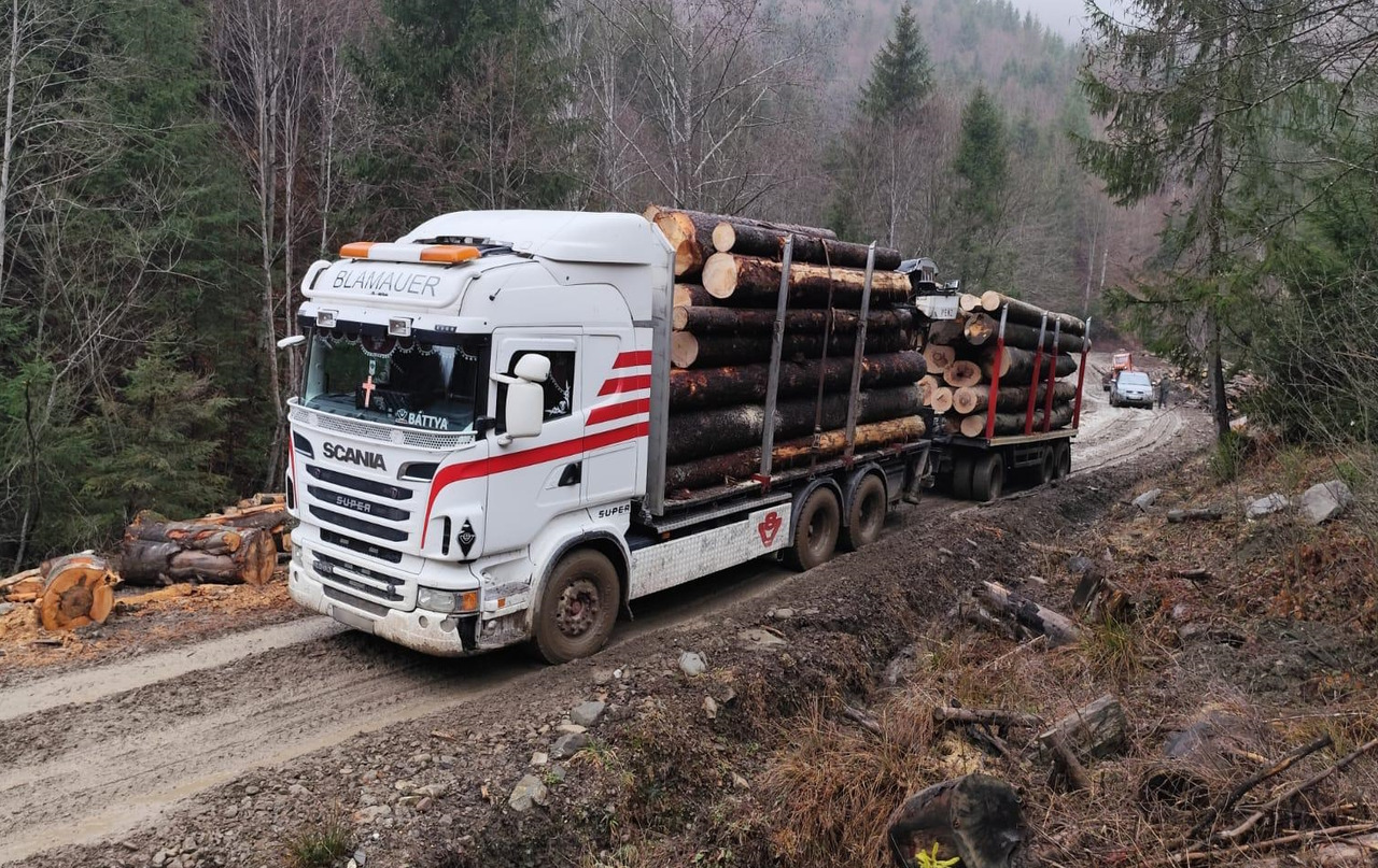 SCANIA R560 V8 - Samochód do drewna, Samochod ciężarowy z HDS: zdjęcie 2 SCANIA R560 V8 - Samochód do drewna, Samochod ciężarowy z HDS: zdjęcie 2