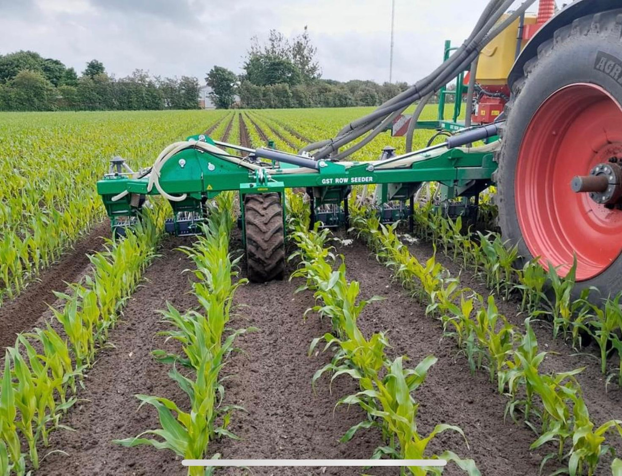 GST ROW SEEDER 12 - Siewnik: zdjęcie 2 GST ROW SEEDER 12 - Siewnik: zdjęcie 2