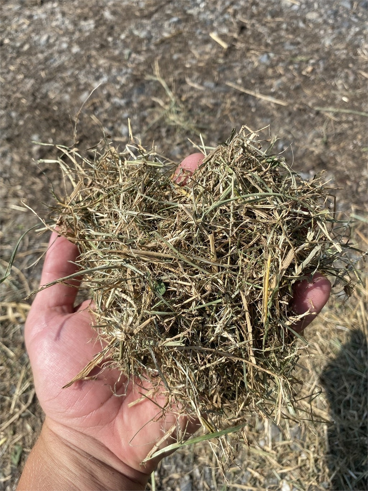 Maszyna do ścielenia słomy Bizon B-1030 Kompost Schredder Biomasse Mist Compost shr: zdjęcie 10 Maszyna do ścielenia słomy Bizon B-1030 Kompost Schredder Biomasse Mist Compost shr: zdjęcie 10