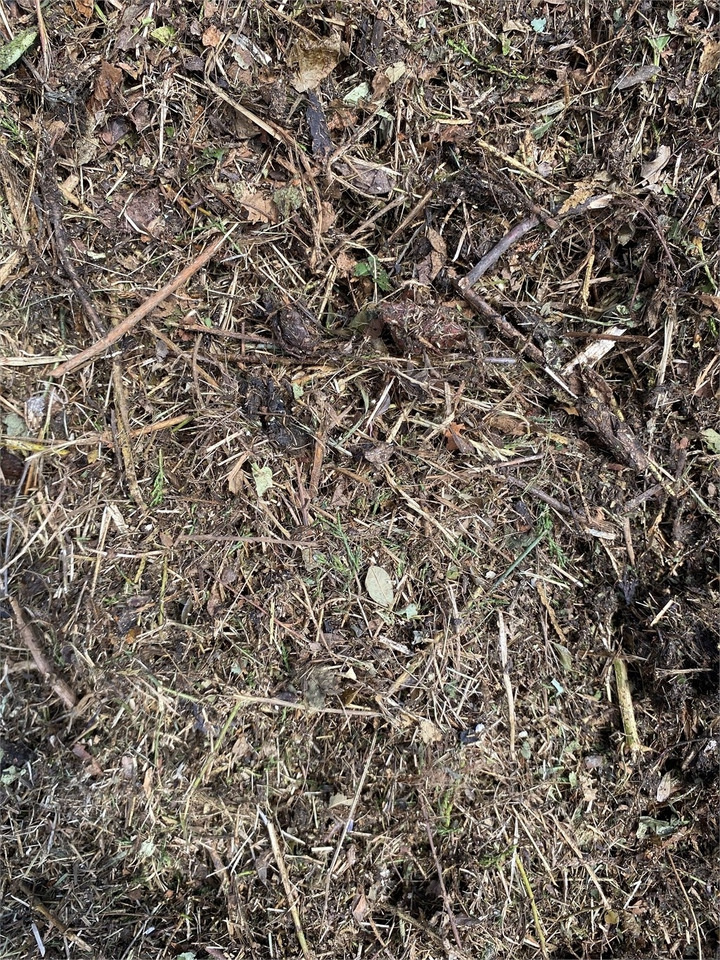 Maszyna do ścielenia słomy Bizon B-1030 Kompost Schredder Biomasse Mist Compost shr: zdjęcie 8 Maszyna do ścielenia słomy Bizon B-1030 Kompost Schredder Biomasse Mist Compost shr: zdjęcie 8