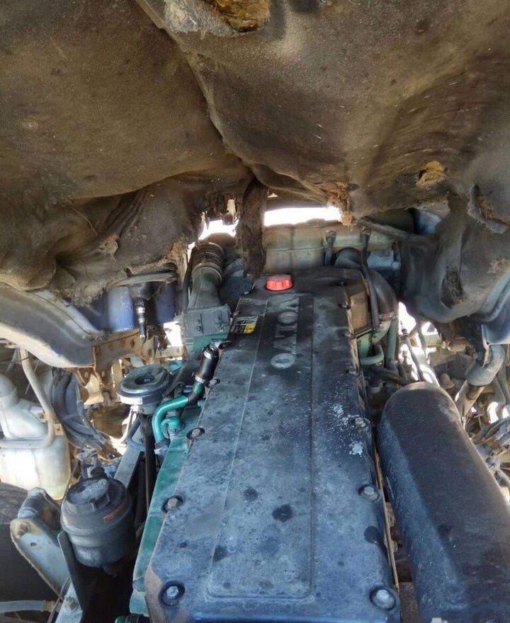 Volvo D12C 460 E3 Volvo FH 12 - Silnik do Samochodów ciężarowych: zdjęcie 1 Volvo D12C 460 E3 Volvo FH 12 - Silnik do Samochodów ciężarowych: zdjęcie 1