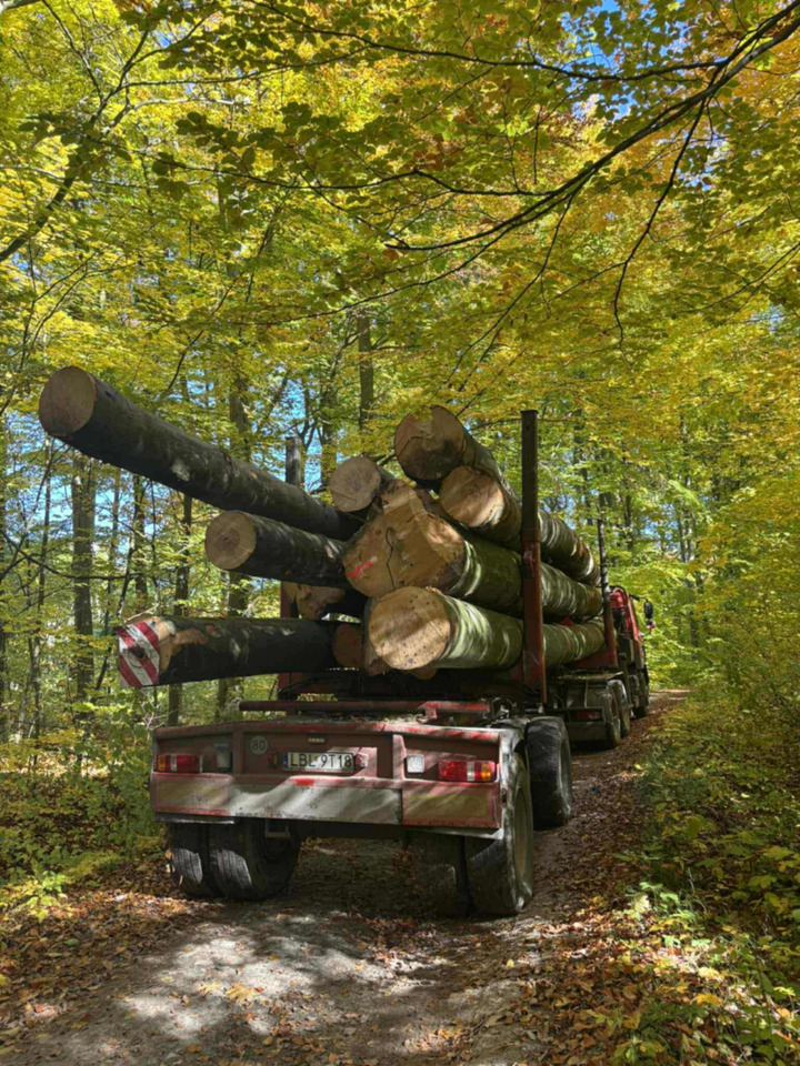 DAF CF510 - Samochód do drewna, Samochod ciężarowy z HDS: zdjęcie 3 DAF CF510 - Samochód do drewna, Samochod ciężarowy z HDS: zdjęcie 3