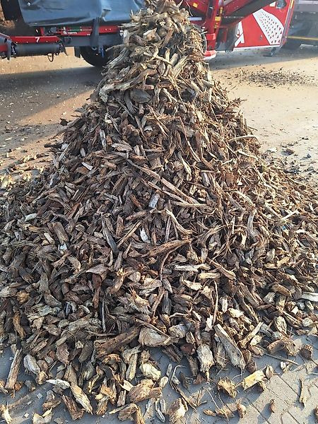 Alzinger Maschinenbau Lepton 5100 przesiewacz gwiazdowy, sortownik do biomasy drzewnej - Przesiewacz, Maszyna leśna: zdjęcie 3 Alzinger Maschinenbau Lepton 5100 przesiewacz gwiazdowy, sortownik do biomasy drzewnej - Przesiewacz, Maszyna leśna: zdjęcie 3