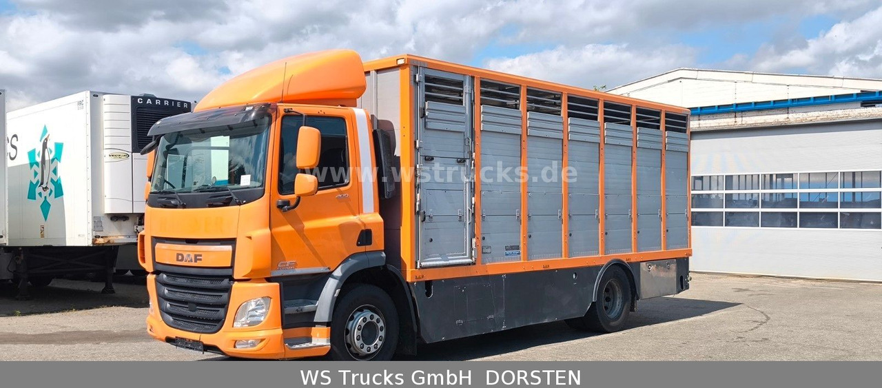 DAF CF 400 Menke Einstock Viehtransporter - Koniowóz: zdjęcie 3 DAF CF 400 Menke Einstock Viehtransporter - Koniowóz: zdjęcie 3