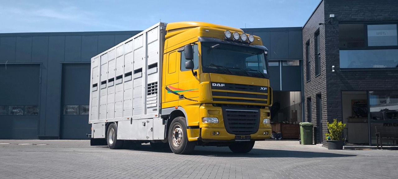 DAF XF 410 SC Menke Doppelstock - Koniowóz: zdjęcie 4 DAF XF 410 SC Menke Doppelstock - Koniowóz: zdjęcie 4