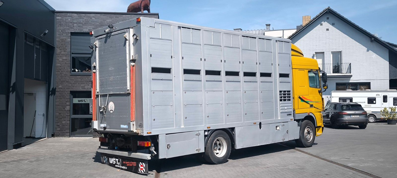 DAF XF 410 SC Menke Doppelstock - Koniowóz: zdjęcie 3 DAF XF 410 SC Menke Doppelstock - Koniowóz: zdjęcie 3