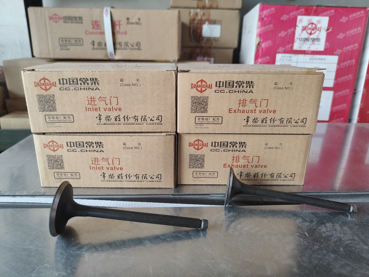 CHANGCHAI 4L68 Engine Intake/Exhaust Valve - Zawór do Ładowarek kołowych: zdjęcie 2 CHANGCHAI 4L68 Engine Intake/Exhaust Valve - Zawór do Ładowarek kołowych: zdjęcie 2