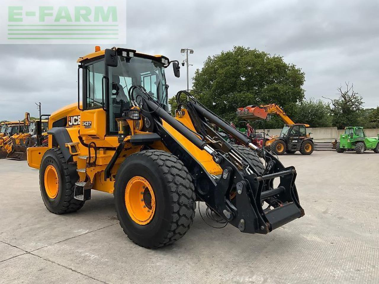 JCB 437 wheeled loading shovel (st23075) - Minikoparka: zdjęcie 3 JCB 437 wheeled loading shovel (st23075) - Minikoparka: zdjęcie 3