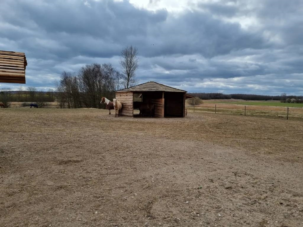 Pomi Hestepæreopsamler - Komunalne/ Specjalistyczne: zdjęcie 5 Pomi Hestepæreopsamler - Komunalne/ Specjalistyczne: zdjęcie 5