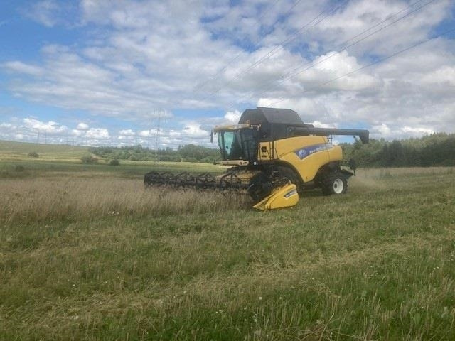 New Holland CR 980 1050er hjul og 30Fod 4 hjulstræk - Kombajn zbożowy: zdjęcie 1 New Holland CR 980 1050er hjul og 30Fod 4 hjulstræk - Kombajn zbożowy: zdjęcie 1