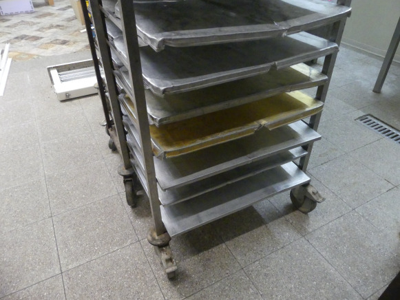 3 Chariots avec plateaux - Wyposażenie piekarni: zdjęcie 4 3 Chariots avec plateaux - Wyposażenie piekarni: zdjęcie 4