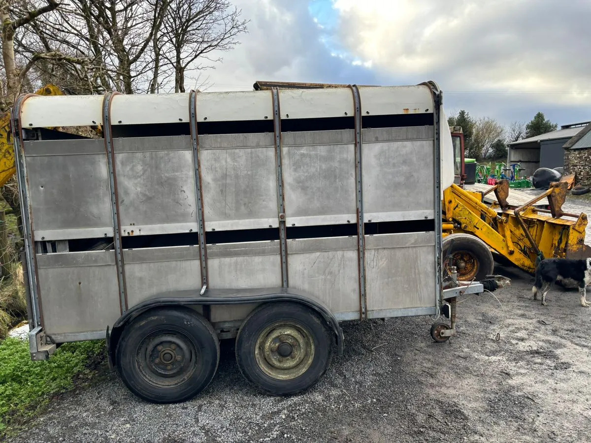 10X6 Ivor Williams - Przyczepa do przewozu zwierząt: zdjęcie 2 10X6 Ivor Williams - Przyczepa do przewozu zwierząt: zdjęcie 2