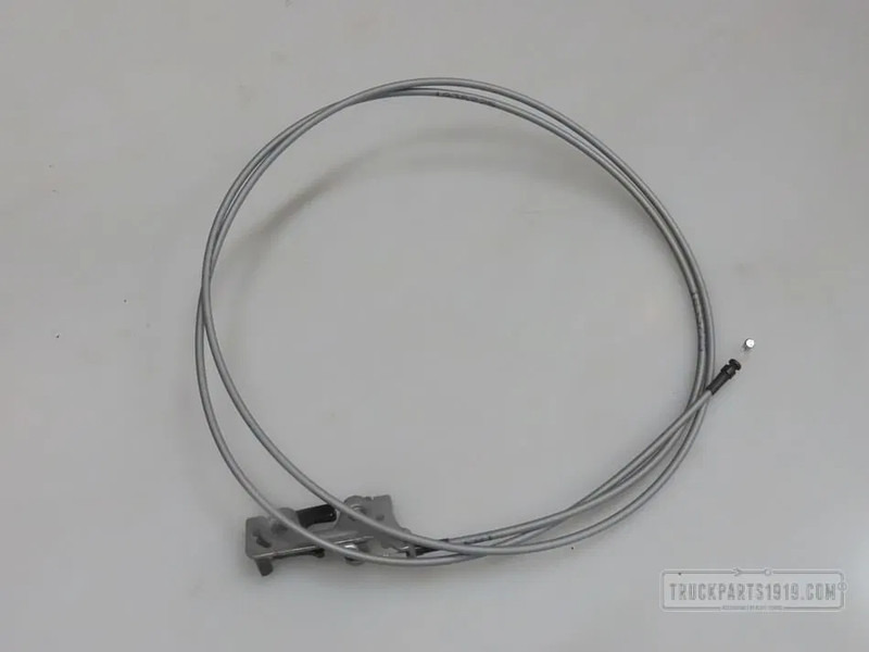 DAF Body & Chassis Parts Grilleslot DAF - Kaptur do Samochodów ciężarowych: zdjęcie 1 DAF Body & Chassis Parts Grilleslot DAF - Kaptur do Samochodów ciężarowych: zdjęcie 1