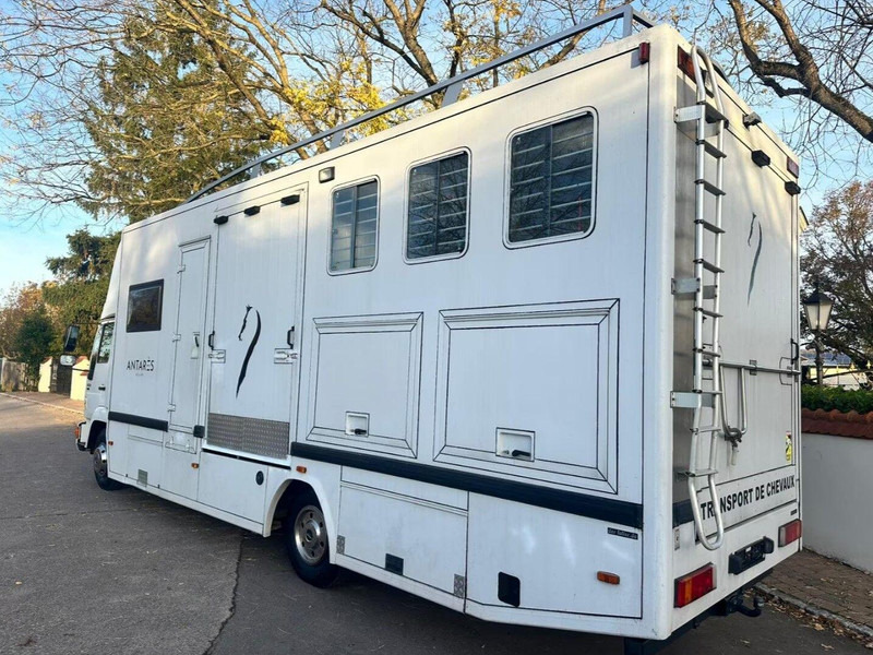 MAN 10.224 - Koniowóz: zdjęcie 3 MAN 10.224 - Koniowóz: zdjęcie 3