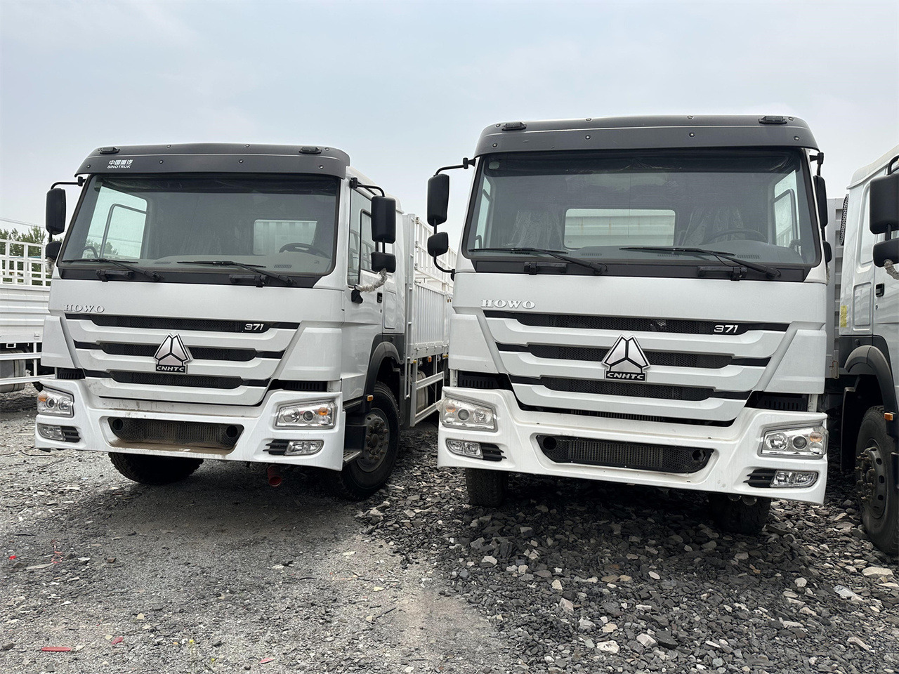 SINOTRUK HOWO 371 Cargo truck - Ciężarówka do przewozu zwierząt: zdjęcie 2 SINOTRUK HOWO 371 Cargo truck - Ciężarówka do przewozu zwierząt: zdjęcie 2