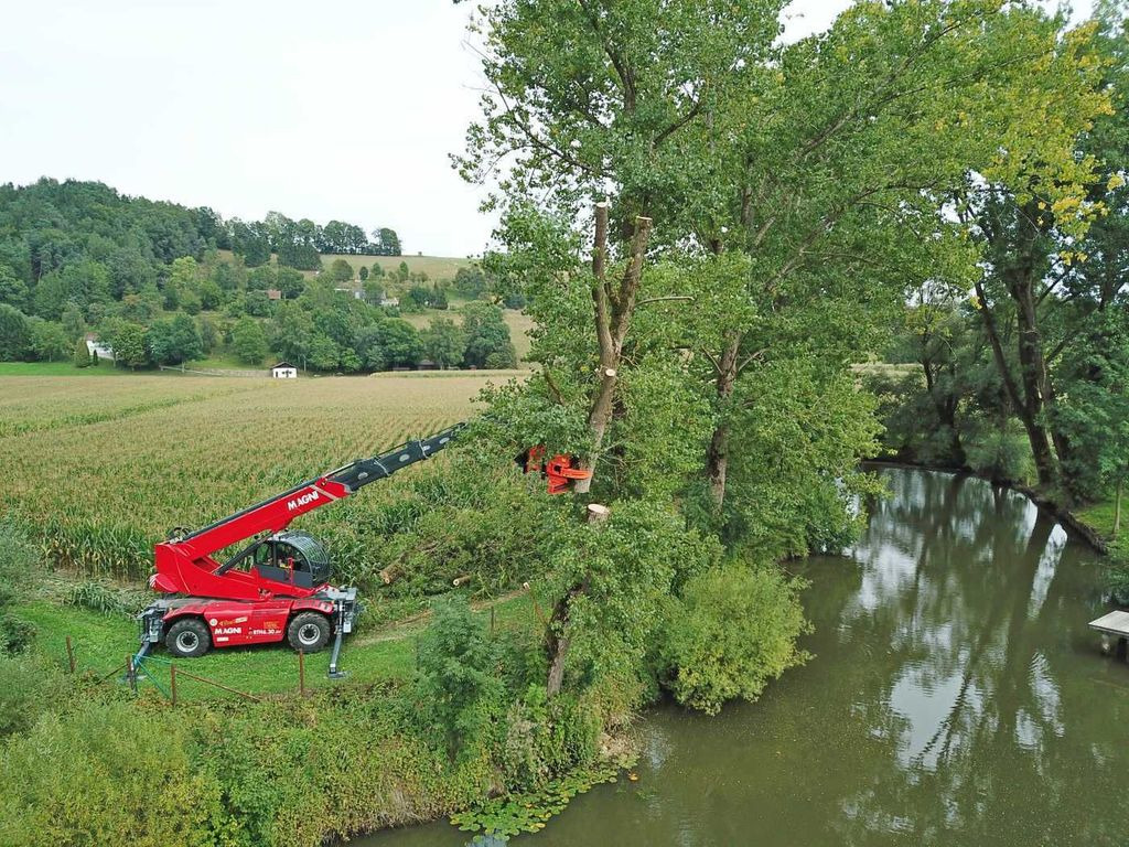 Westtech CS 750 Smart / Fällgreifer /Magni Merlo Westtech CS 750 Smart / Fällgreifer /Magni Merlo - Osprzęt do Maszyn leśnych: zdjęcie 3 Westtech CS 750 Smart / Fällgreifer /Magni Merlo Westtech CS 750 Smart / Fällgreifer /Magni Merlo - Osprzęt do Maszyn leśnych: zdjęcie 3