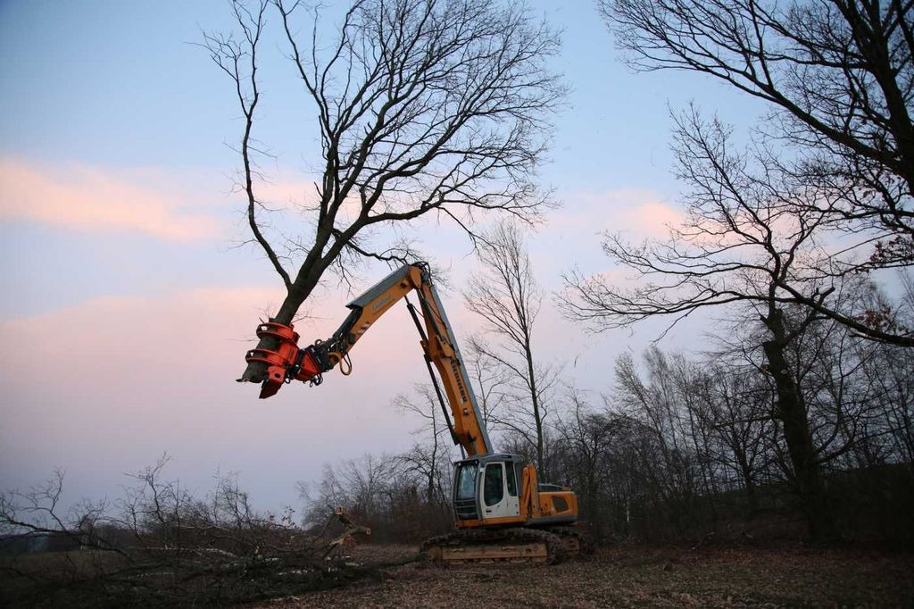 Westtech CS780 / Greifersäge / Fällkopf / sofort Westtech CS780 / Greifersäge / Fällkopf / sofort - Osprzęt do Maszyn leśnych: zdjęcie 5 Westtech CS780 / Greifersäge / Fällkopf / sofort Westtech CS780 / Greifersäge / Fällkopf / sofort - Osprzęt do Maszyn leśnych: zdjęcie 5